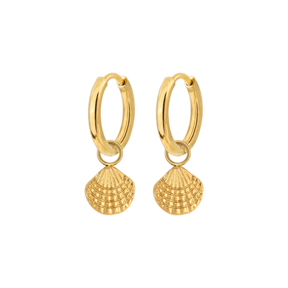 Cute Shell Hoop Set Gold