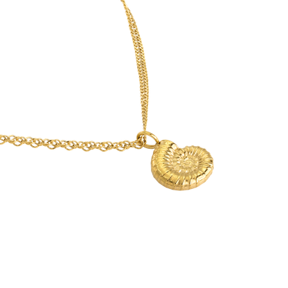 Shell Seeker Necklace Gold