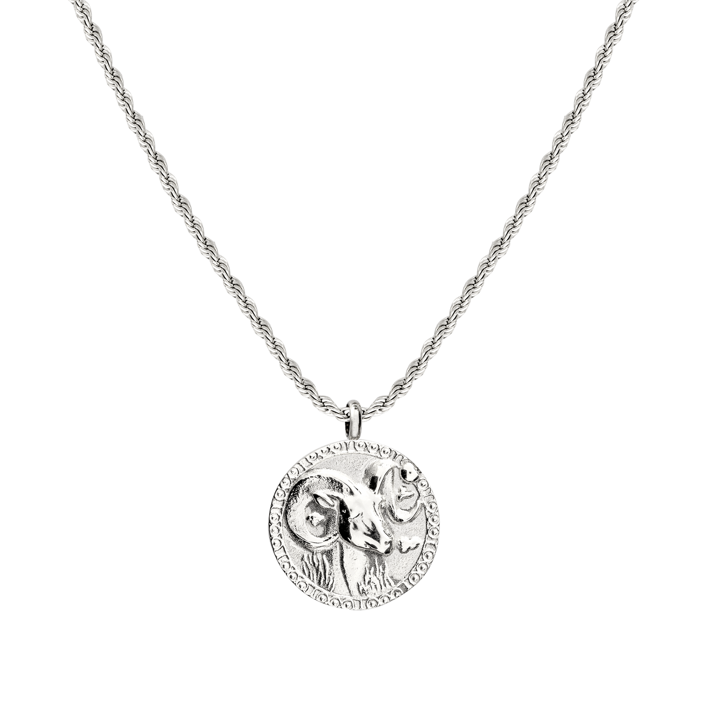 Aries / Widder Necklace Silber