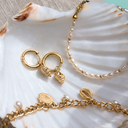 Conch Shell Hoop Set Roségold