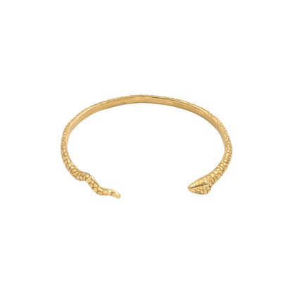 Charming Nicolas Bangle Gold